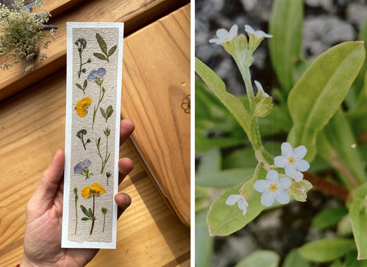 Marcalibros con flores prensadas