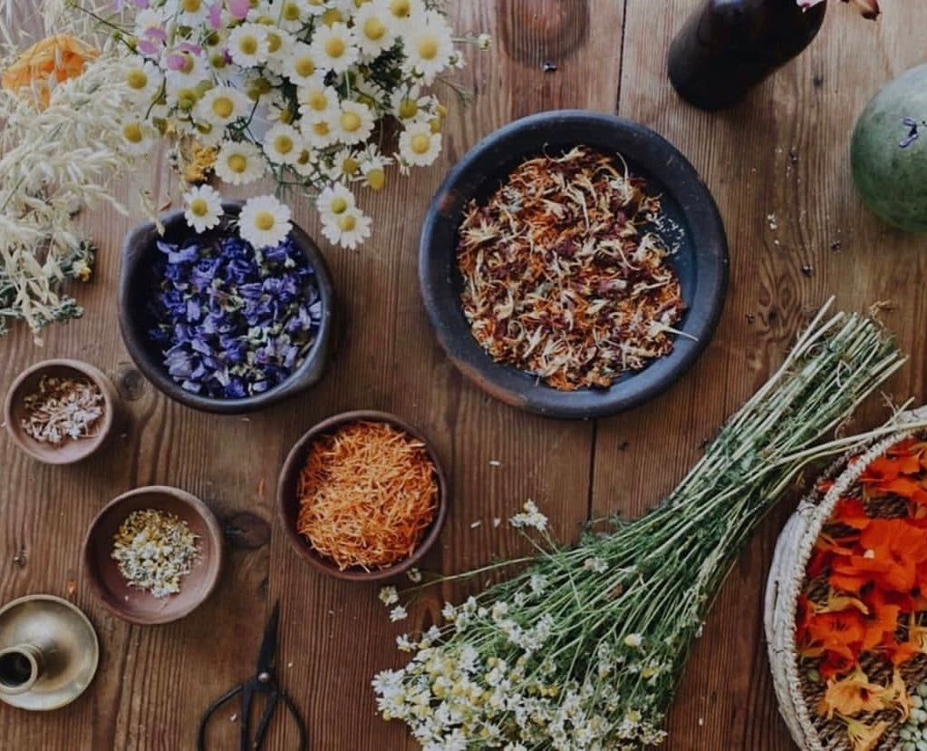 Taller Online Secado de Hierbas y Flores (grabado)