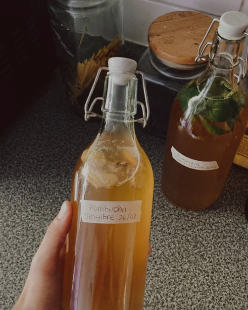 Taller Online Kombucha básico