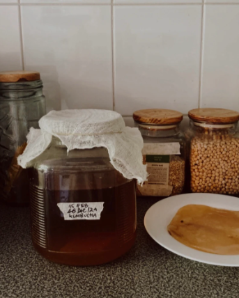 Taller Online Kombucha básico