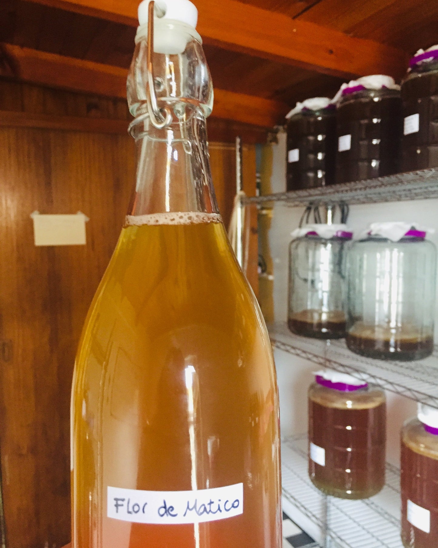 Taller Online Kombucha básico
