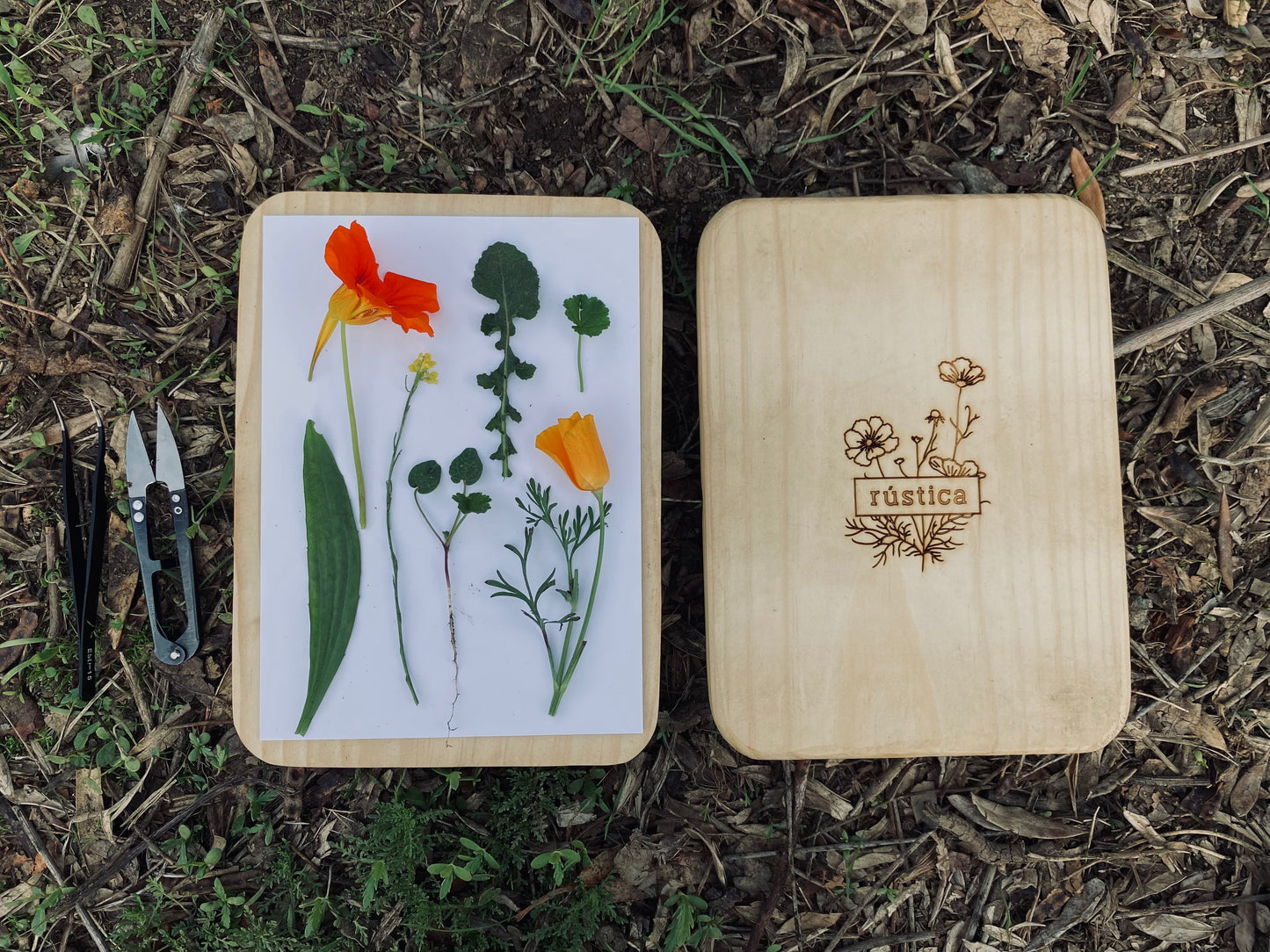 Kit Prensa Botánica de Campo