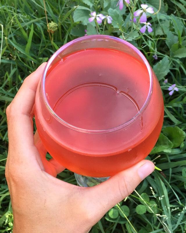 Taller Online Kombucha básico
