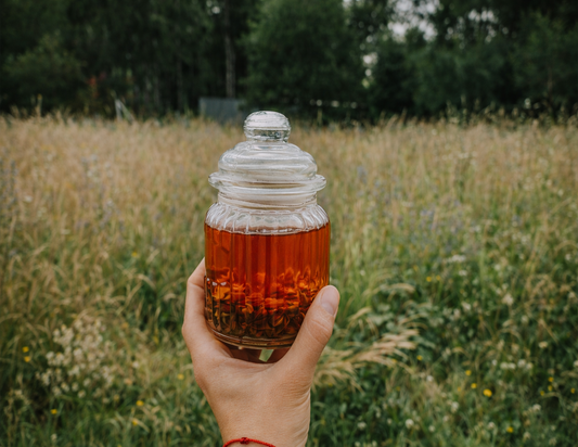 Aceite medicinal de Hipérico o Hierba de San Juan