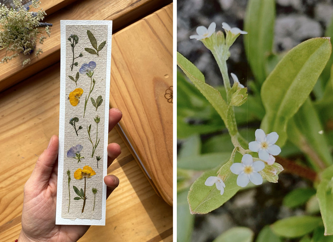 Marcalibros con flores prensadas