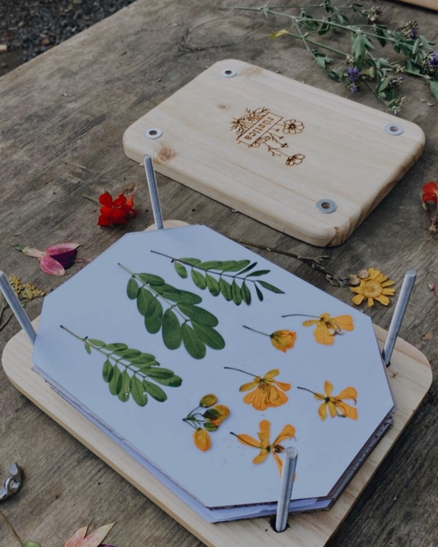 Pack Prensa Botánica Mini + Taller Online