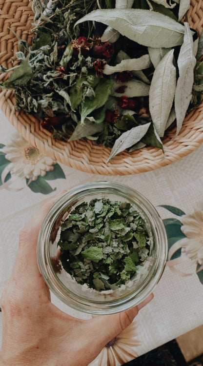 Secado de Hierbas y Flores (Online grabado)