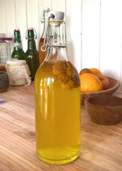 Ebook Sodas Silvestres