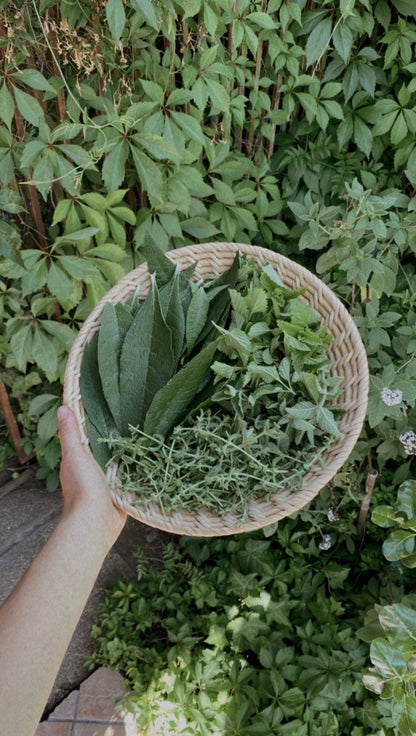 Secado de Hierbas y Flores (Online grabado)