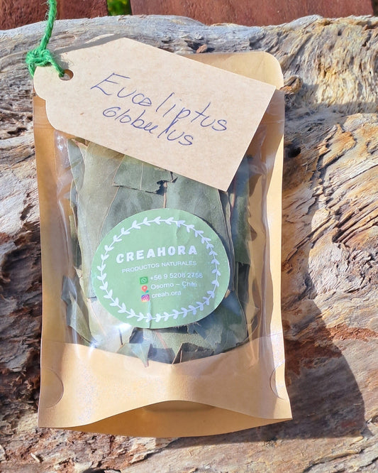 Eucalipto deshidratado
