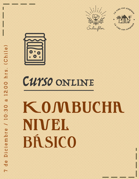 Taller Online Kombucha básico