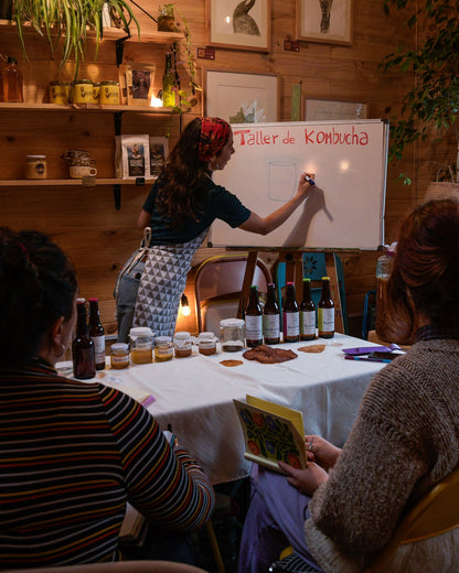 Taller Online Kombucha básico