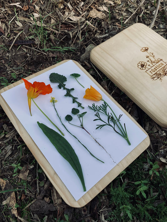 Pack Prensa Botánica de Campo + Taller Online