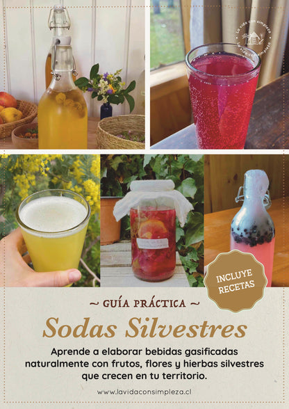 Ebook Sodas Silvestres