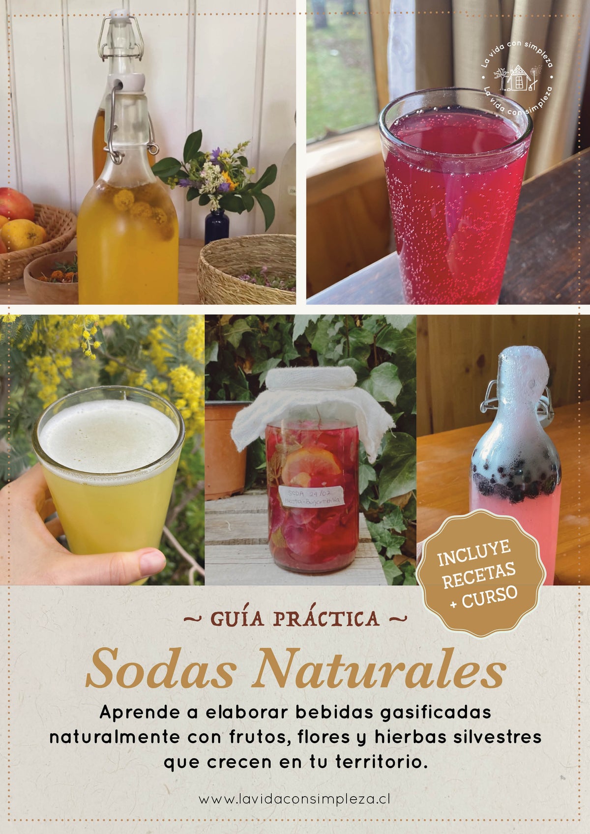Curso: Sodas Silvestres y Fermentación + Ebook Guía Práctica