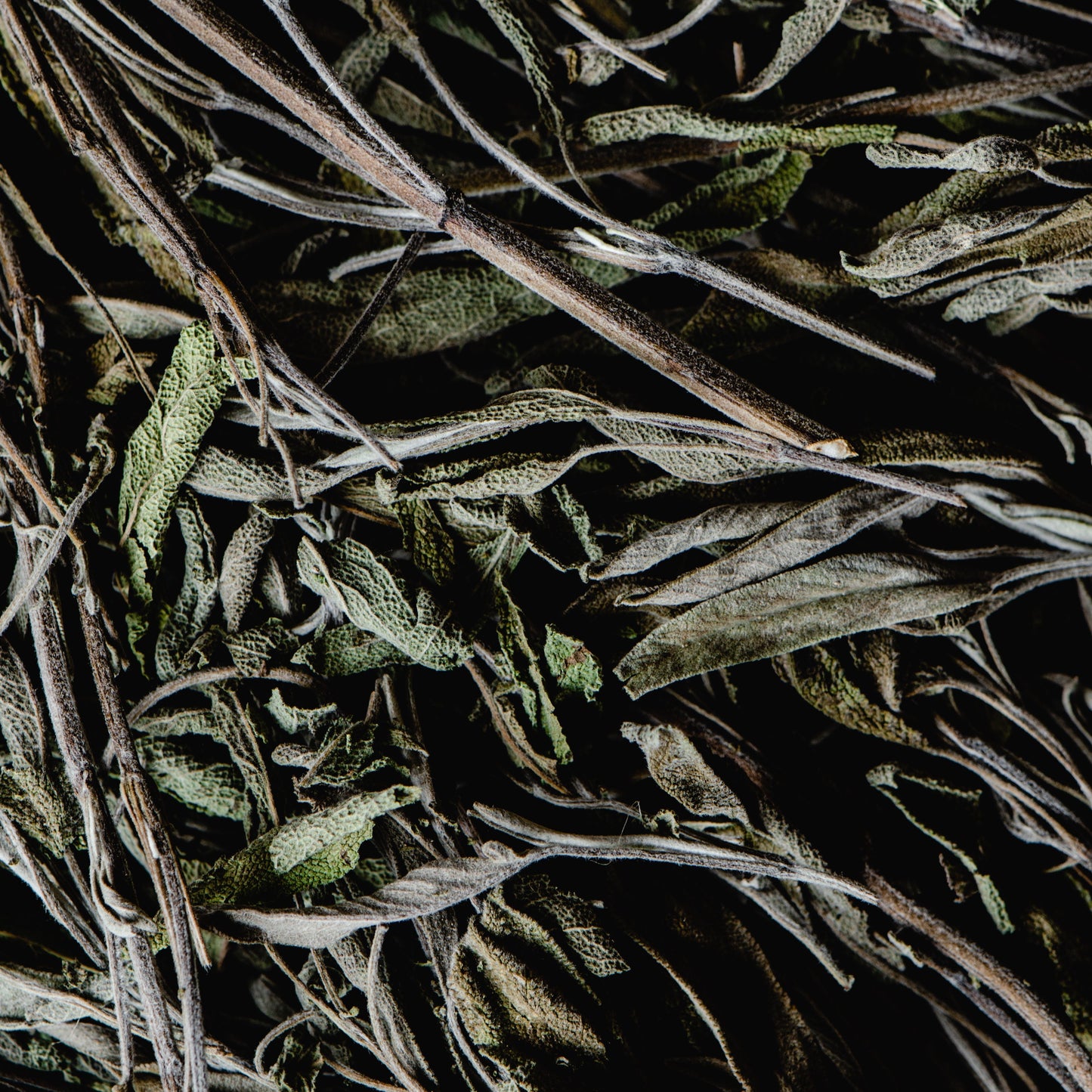 Salvia deshidratada