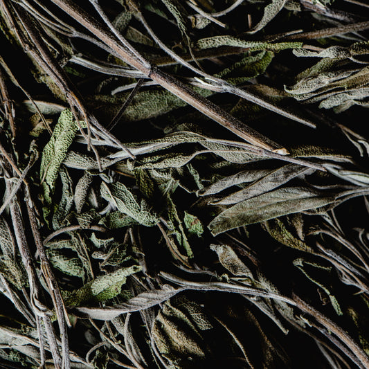 Salvia deshidratada