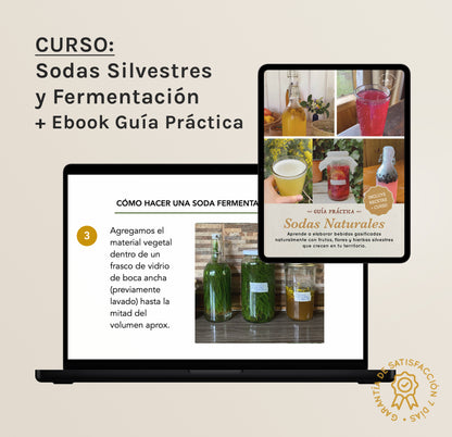 Curso: Sodas Silvestres y Fermentación + Ebook Guía Práctica